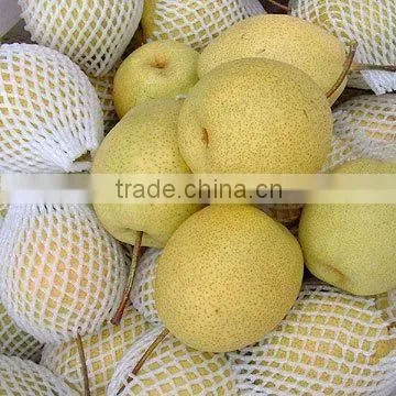 The Latest Polyethylene Foamed Fruit Net Extrusion Line photo-6