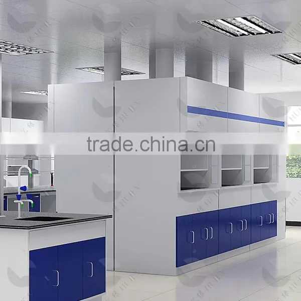 2016 New Dsign Factory Price Laboratory Steel Fume Hood photo-3