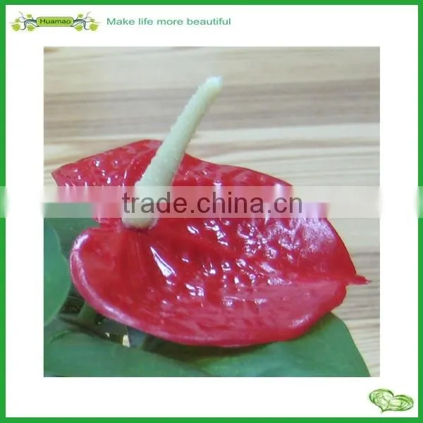 Mini Artificial Anthurium Leaves Bonsai for Indoor Decoration photo-3