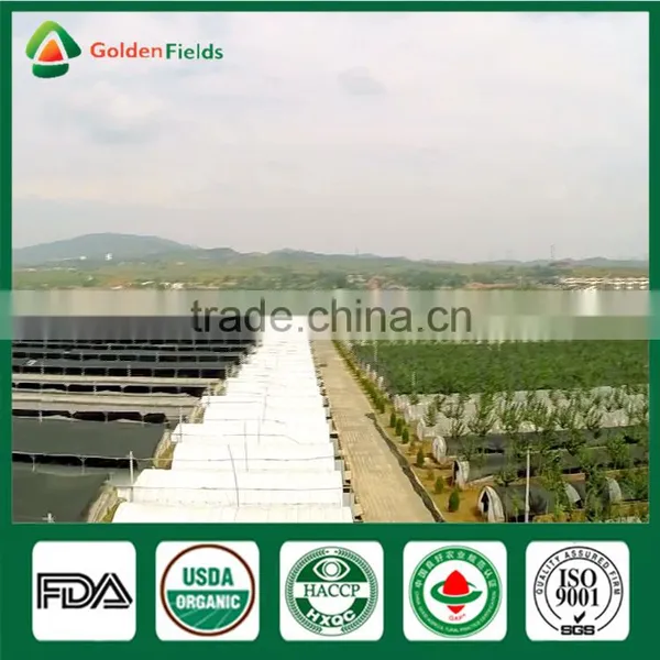 Healthy Food Nutritious Medicinal Fresh Dried China Supplier Shiitake Mushroom for Farm Garden Restaurant photo-4
