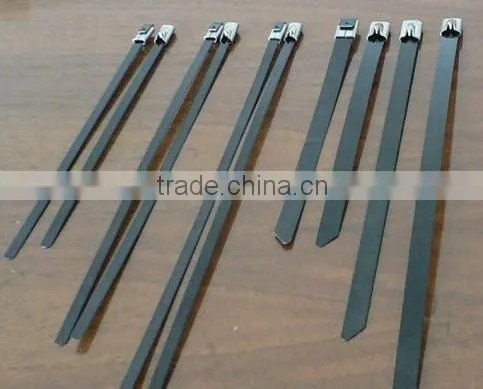 Hot Sale Stainless Steel Cable Tie (ladder Type ) 12*600 photo-2