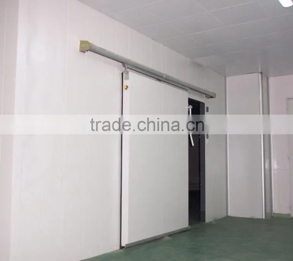 Cold Room Polyurethane Sliding Door photo-4