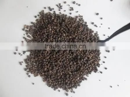 LIGHT BERRY PEPPER VIETNAM 100% ORIGIN photo-6