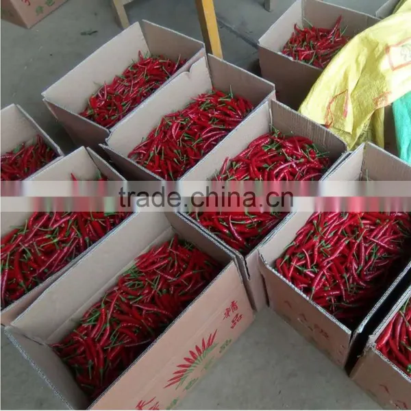 2016 New Crop Factory Exporter Fresh Red Chilli With Haccp, Halal Certificates photo-4
