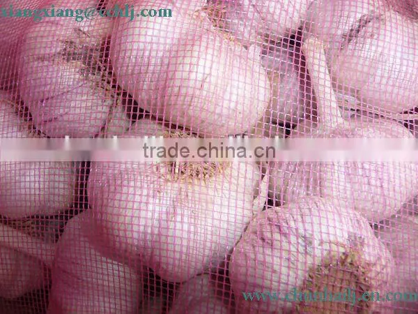 Chinese Exported Peeled Garlic photo-4