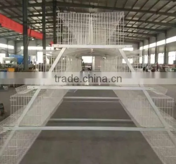 Factory Hot-sale High Quality Layer Quail Cages for Sale in Poultry Farm photo-5