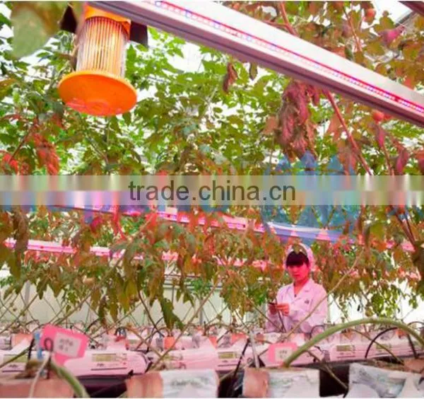 Agricultural Greenhouse Light photo-4