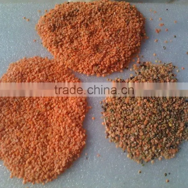 Cambodia Pulse CCD Color Sorter Machine From China, Hons+ Company photo-4