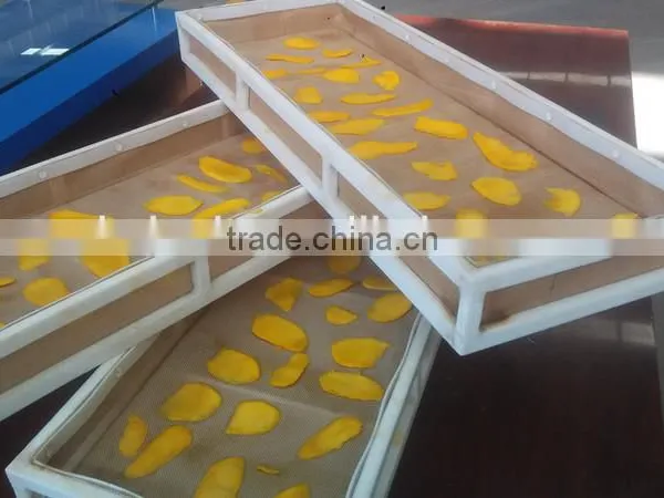 Microwave Vacuum Dryer for Mango/mango Slice photo-2