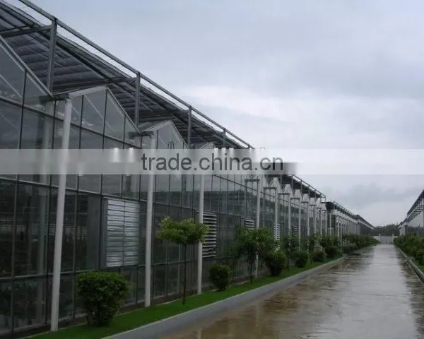 Tropical Multi Span Greenhouse for Agriculture photo-3