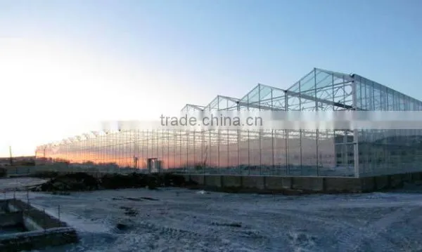 Glass Greenhouse-1 photo-2