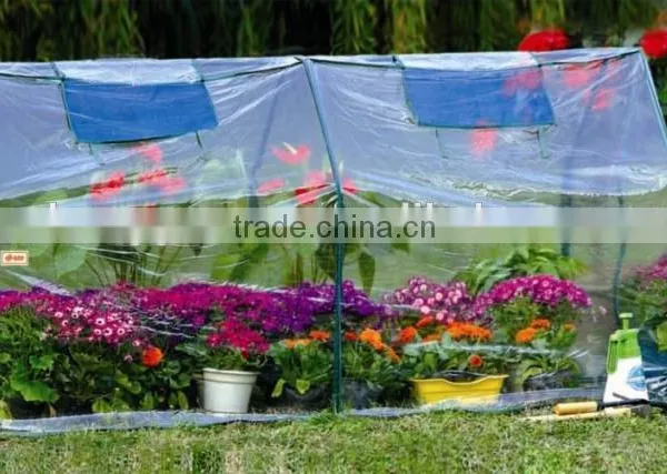 Growhouse and Multi Cloche Range for Flower and Plant photo-3
