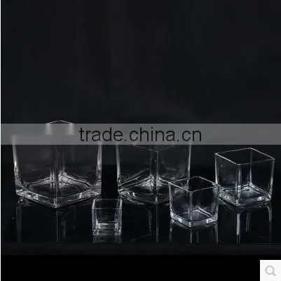 Home Table Decoration Square Clear Glass Plant Hydroponic Container Flower Vases photo-2