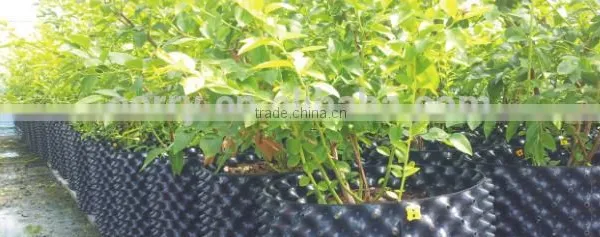 Plastic Root Control Container/pot for Garden Tools photo-6