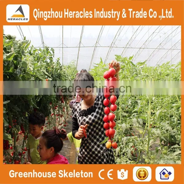 Heracles Trade Assurance Agricultural Commercial Greenhouse for Sale photo-2