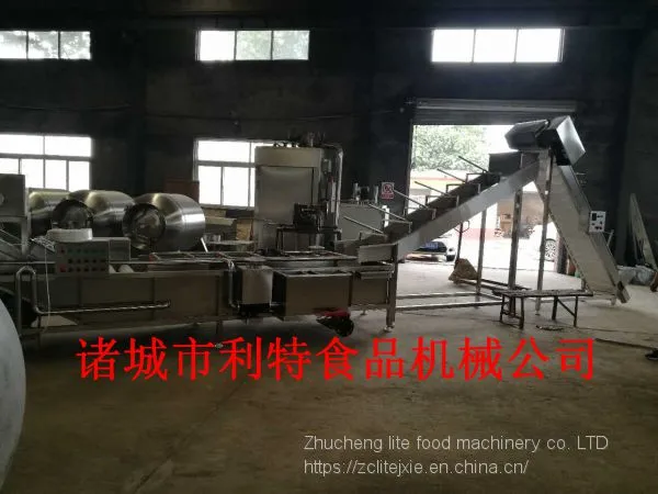 Raisin Washing Line Raisin Cleaner Raisin Processing Equipment
