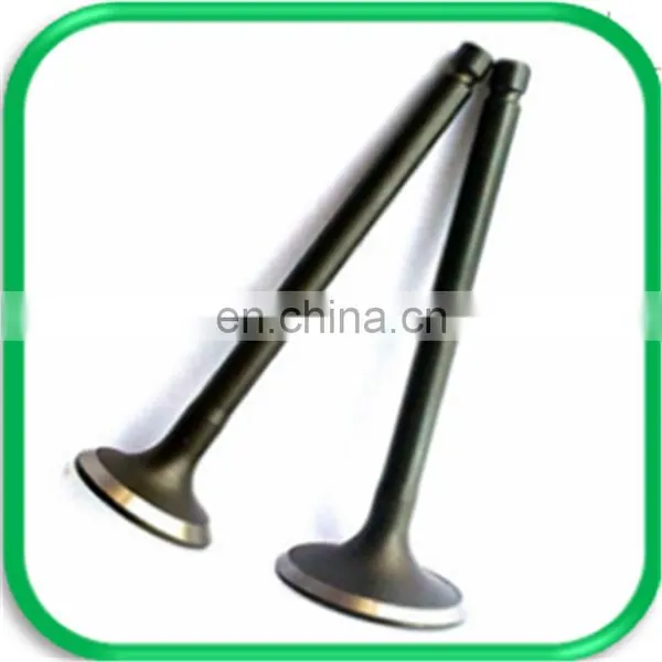 Cross-country Spare Parts Engine Valve for Izuzu Bighorn Ubs69 4XJ1 4JG2 4ZE1 photo-6