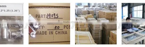 Anchor/Hollow Wall Anchor /Bolt Anchor Bolts Sizes photo-4