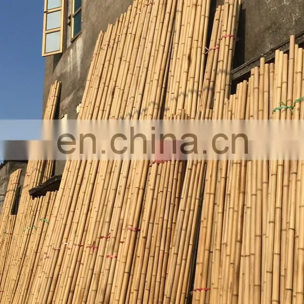 Top Quality Cheapest Price Raw Rattan Custom Size for Making Chair Table Decor Furniture From Viet Nam photo-4