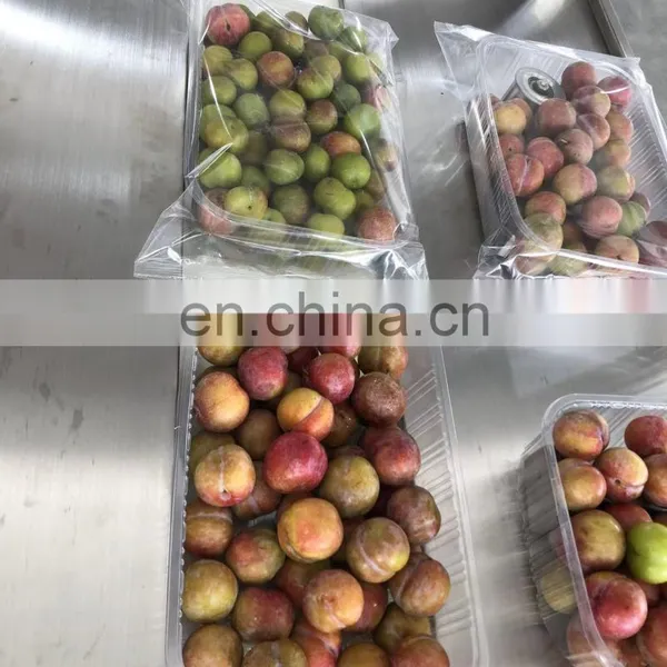 Cherry Fruit Vegetable Automatic Packing Packaging Machine With Tray In Plastic Bag 2.5KG photo-2