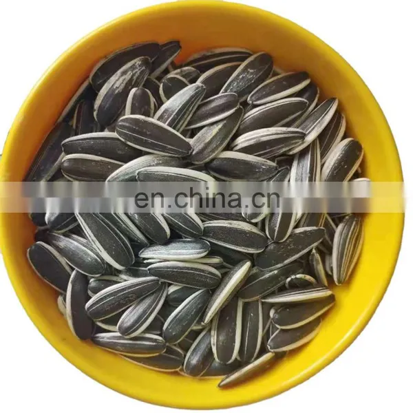 Xinjiang Melon Seeds Sunflower Seeds 363 Natural