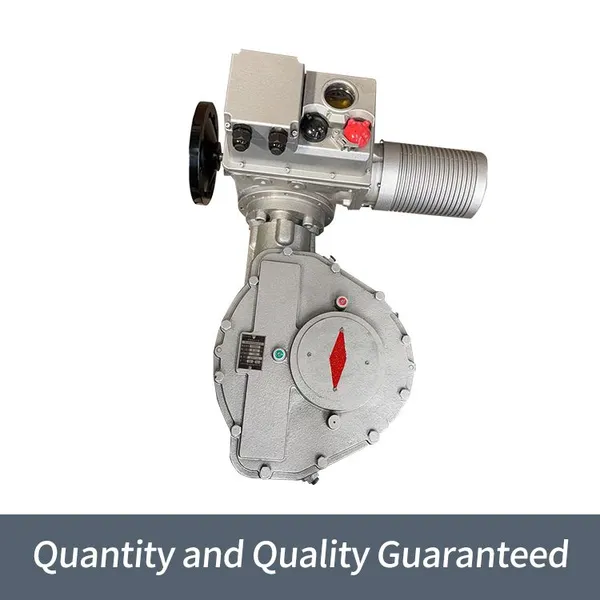 Bernard Intelligent High-power B+RS1000/F105Z Angle Travel Electric Actuator photo-3