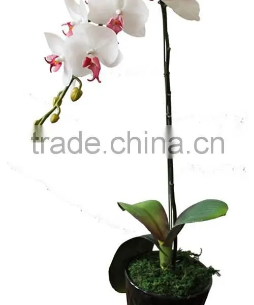 the real touch artificial bonsai plants artificial orchid flowers