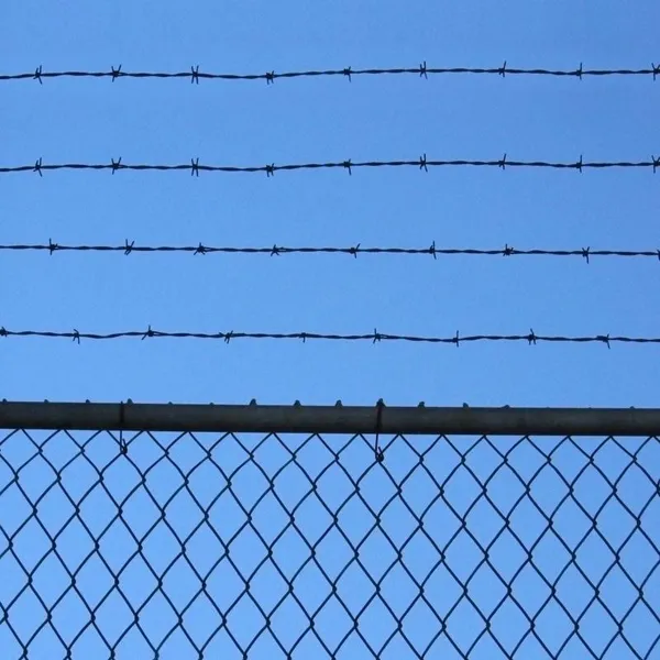 Hot-Dip Galvanized Barbed Rope Ordinary Barbed Wire Fence for Trellis & Gates photo-6