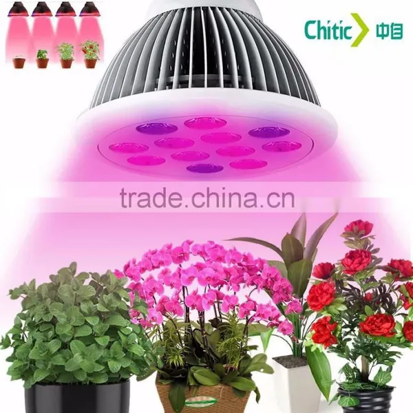 Hot Selling High Quality Standard Manufacturer in China Factory Price 24W E27 LED Plant Grow Light for Strawberry photo-6