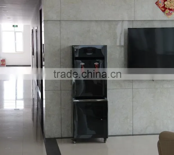 ro Purified Fresh Water Boiler Used for Office People