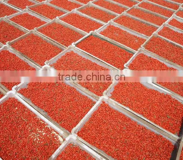 Organic Chinese Ningxia Goji photo-2