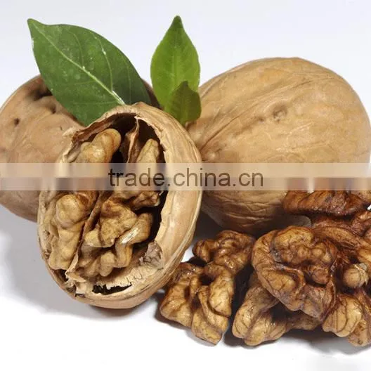 Cheap100% Organic Walnuts in Shell Price photo-2