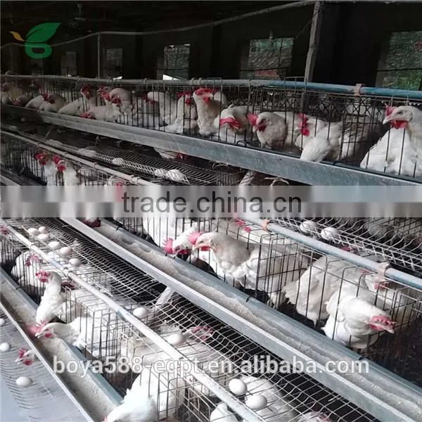 Full Automatic or Semi Automatic Layer Rearing Cages for Pullets photo-4