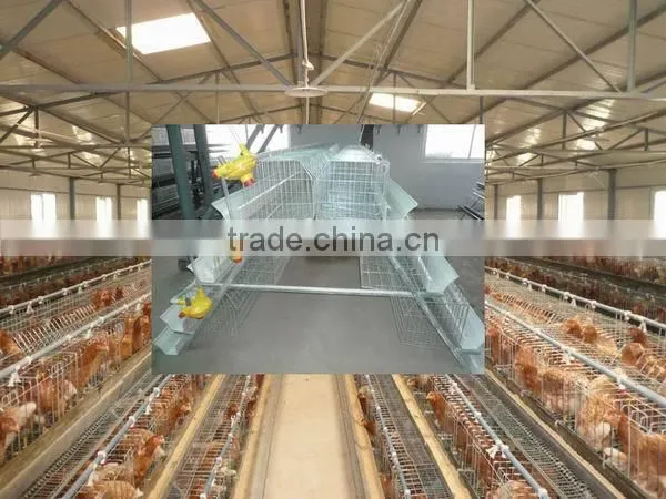 Galvanized Material Welded Wire Mesh Cage for Quail photo-2