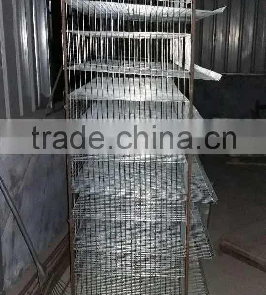 Automatic Quail Bird Layer Cage System Supplier's Choice photo-2