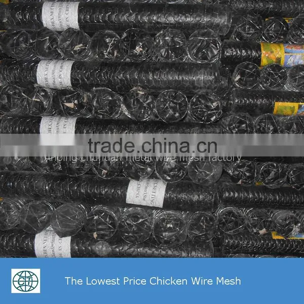 The Lowest Price Galvanized Wire Chicken Wire Mesh photo-2