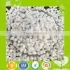 White Masterbatch for Dry Compound/casting/milk Membrane photo-5