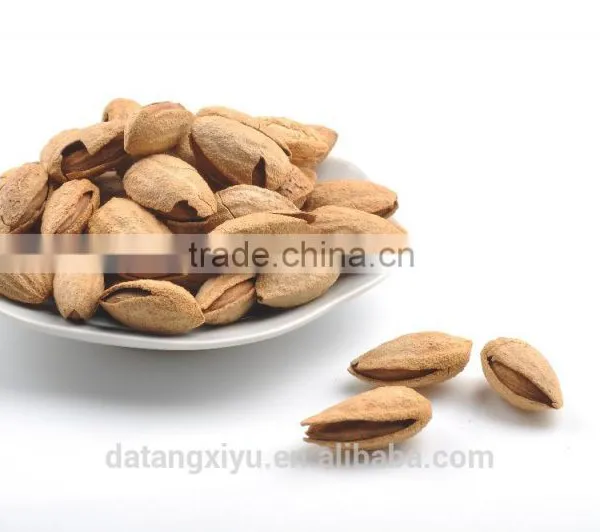 Chinese Badam Almond in Shell With QS Standard photo-6