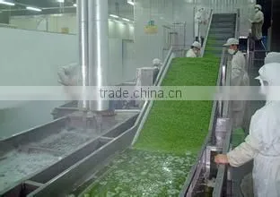 Date Washing Machine/apricot Washing Machine/fruit Washing Machine