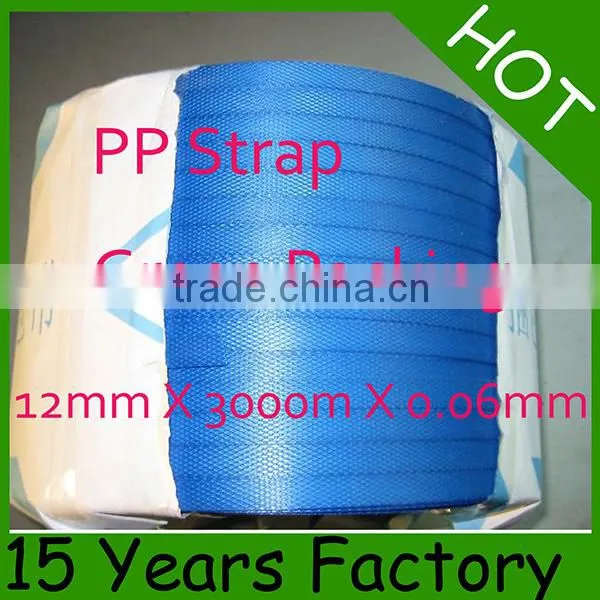 High Quality and Visibility 5mm PP Strap photo-4