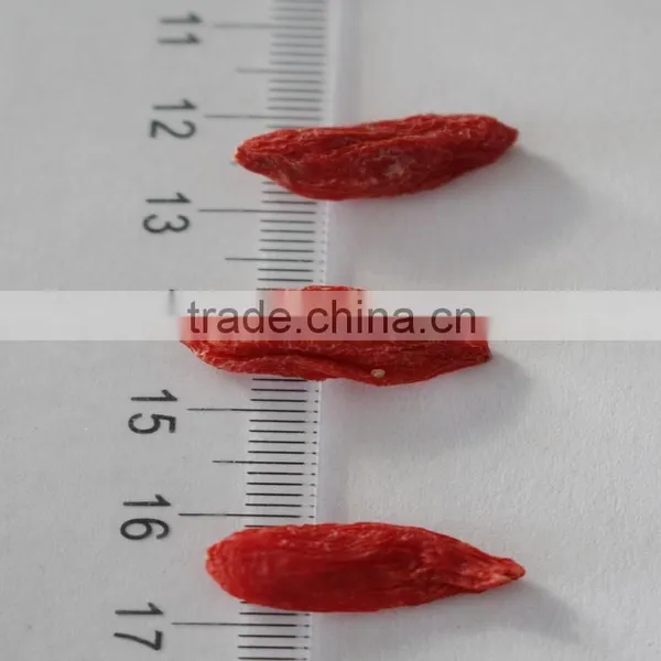 Manufacturer Supply Sun Dried Goji Berry/wolfberry Bulk photo-4