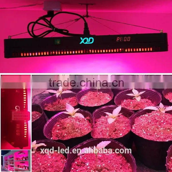 XQD 450W LED Light Full Spectrum LED Grow Light Black Panel For Medical Herb Veg and Flower Stage photo-4