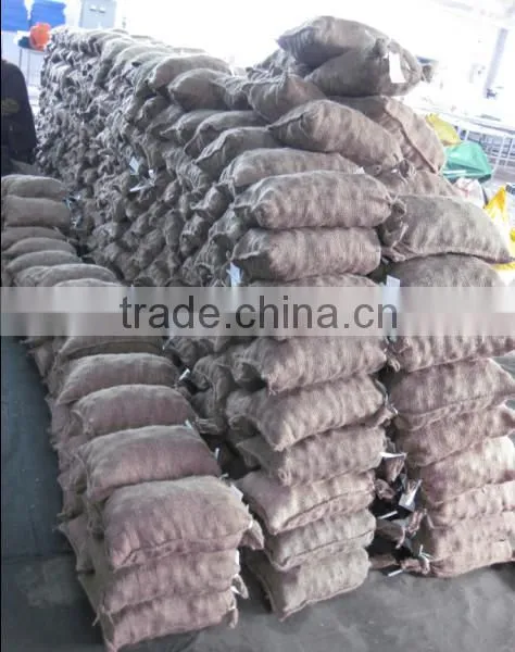 Fresh Chestnut From China With Gunny Bags