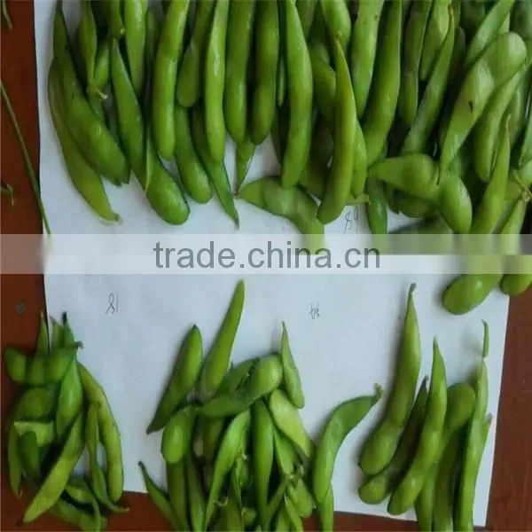 Chinese Frozen Green Soy Bean, IQF Edamame photo-4