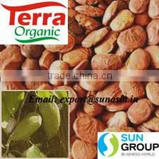 500 ML Karanja Oil photo-5