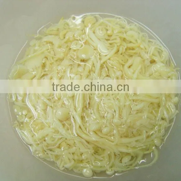 Canned Golden Mushroom 425g