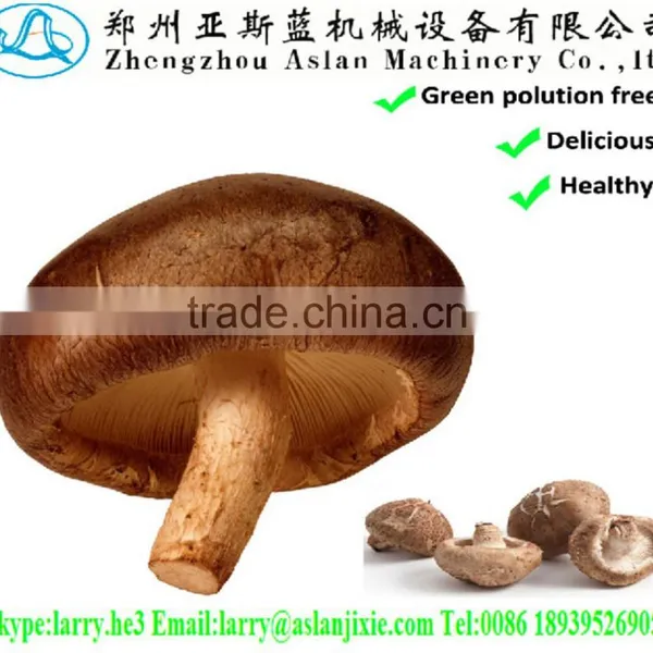 Chinese Mushroom/dried Shiitake Mushroom Prices/whole Shiitake Mushroom