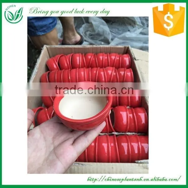 Ceramic Flower Pot photo-6