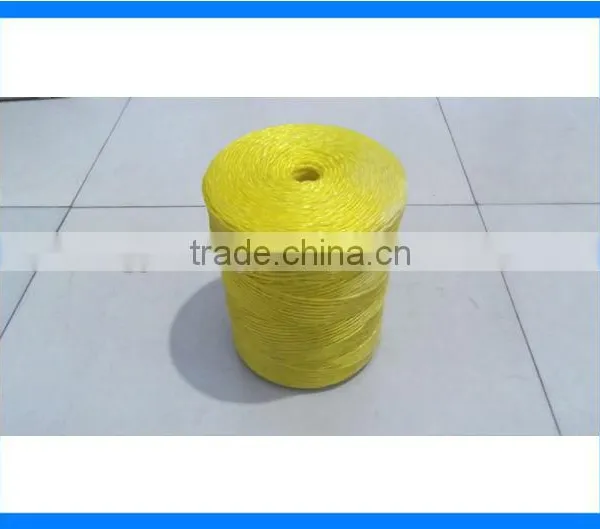 Colored PP Packing String photo-2