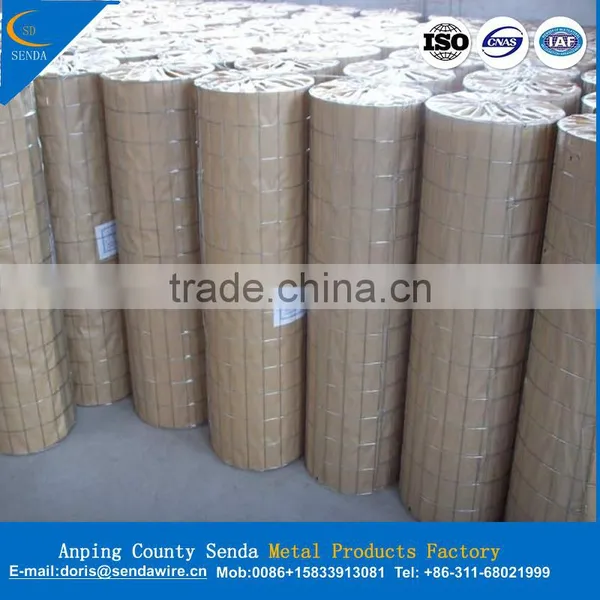 10 Gauge Galvanized Welded Wire Mesh photo-2